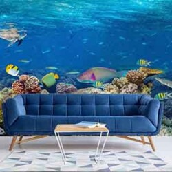 r2
