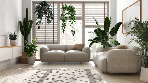 istockphoto 1495389247 612x612 1